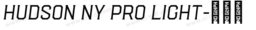 Hudson NY Pro Light字体转换